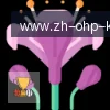 ky开云 logo