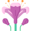 ky开云 logo