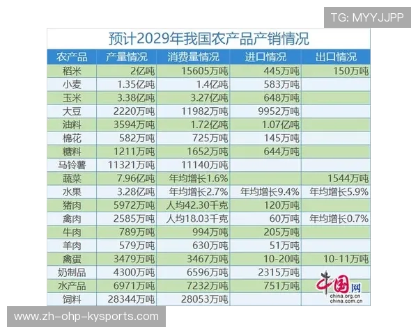 火箭队2025年赛季战绩及未来展望详细解读