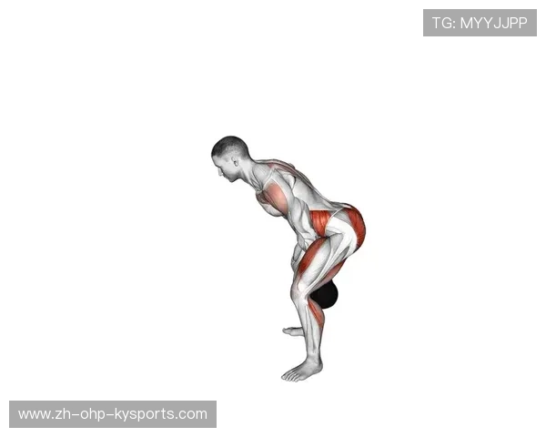 高效塑形:手臂肌肉专项健身器材解析 高效塑形:手臂肌肉专项健身器材解析